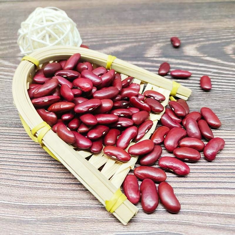 High Quality New British Dark Red Kidney Beans Long Shape Wholesale