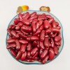 High Quality New British Dark Red Kidney Beans Long Shape Wholesale