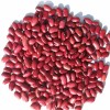 High Quality New British Dark Red Kidney Beans Long Shape Wholesale