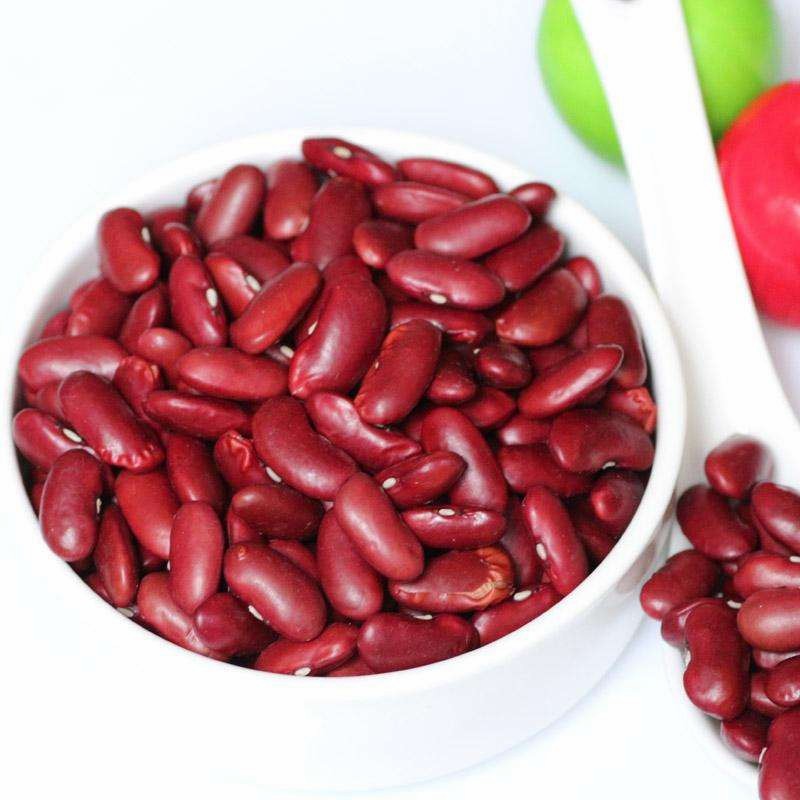 High Quality New British Dark Red Kidney Beans Long Shape Wholesale
