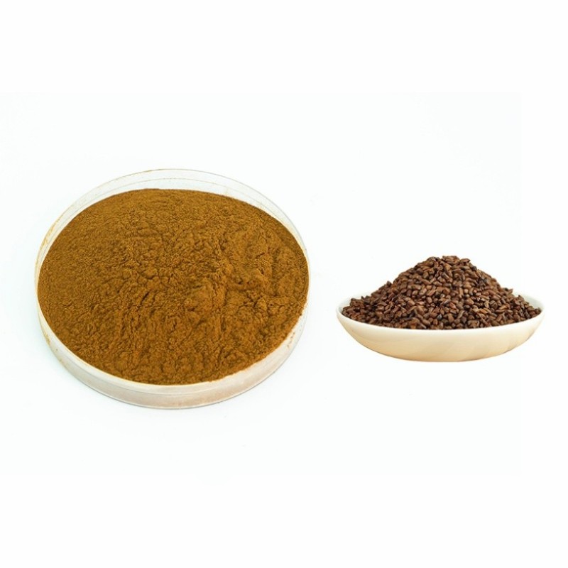 Greenish-Brown Color Food Grade Cassia Seed Leaf Herbal Extract