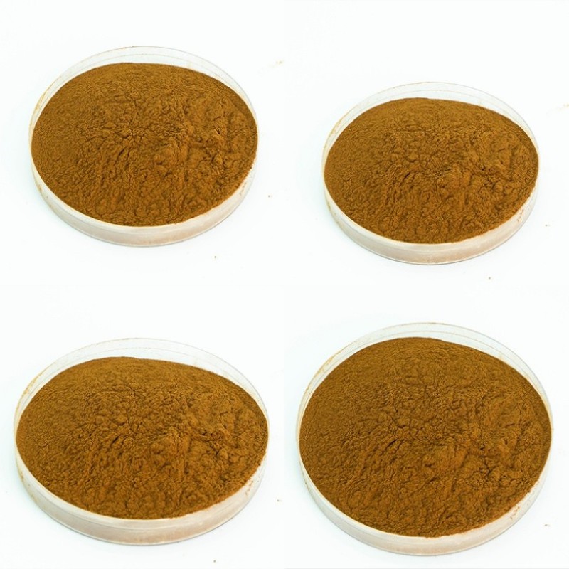 Greenish-Brown Color Food Grade Cassia Seed Leaf Herbal Extract
