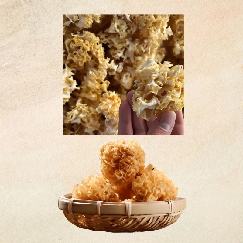 Sparassis Crispa Dried Mushrooms 100g/150g