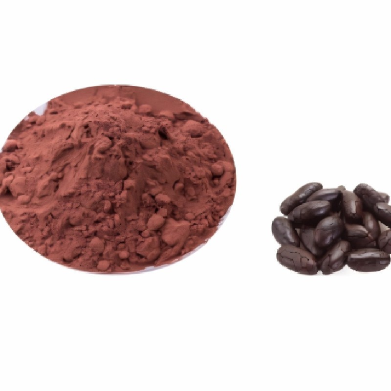 Natural/Alkalized Cocoa Powder with Good Price Cacao Powder Samples Available