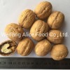 Wholesale Price Top Quality Walnut in Shell Paper Shell Walnut