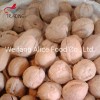 Wholesale Price Top Quality Walnut in Shell Paper Shell Walnut