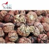 Wholesale Price Top Quality Walnut in Shell Paper Shell Walnut
