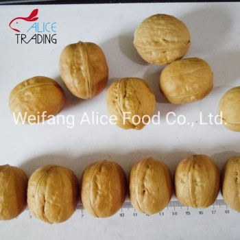 Wholesale Price Top Quality Walnut in Shell Paper Shell Walnut