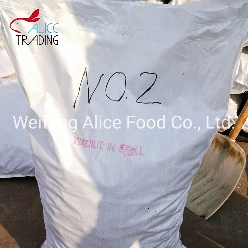 Wholesale Price Top Quality Walnut in Shell Paper Shell Walnut