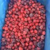 Premium Factory Price Juicy Pitted Red Frozen IQF Cherry Cherries China Whole IQF Frozen Cherry