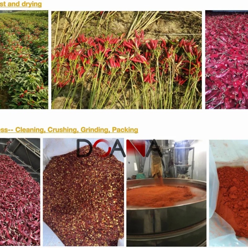 Natural Spice Chili Powder Manufacturer Sweet Paprika Hot Chilli Pepper