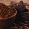 Support OEM/ODM Cocoa Cacao Ingredient Alkalid & Natural Cocoa Powder for Food & Drink