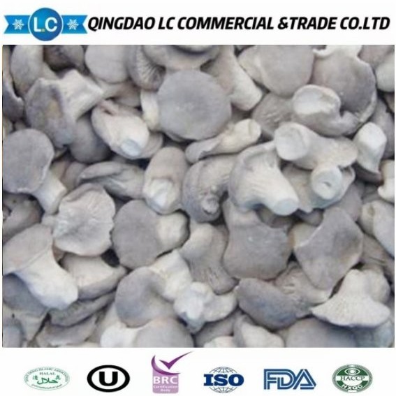 Frozen Oyster Mushroom Export