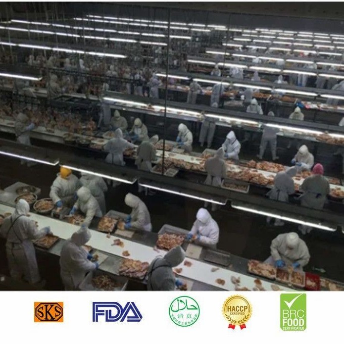 Halal Chicken Breast to Arabic Market