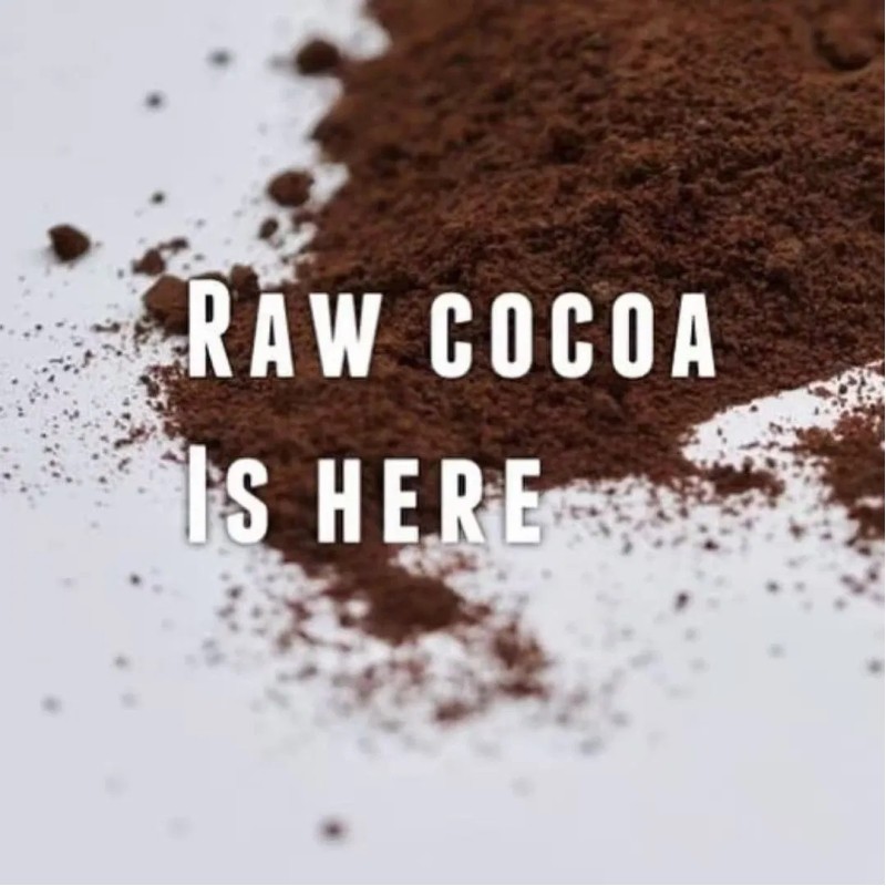 Best-Quality Alkalized Cocoa Powder/Natural Cocoa with Free Sample