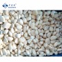 Sinocharm BRC a Approved IQF Garlic Factory Bulk 10kg Wholesale Price Whole Frozen Peeled Garlic in Cartons