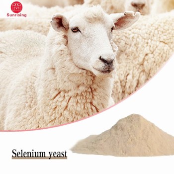Supply of High Quality Nutritional Fortifier Organic Selenium-Rich Yeast Animal Feed Additive