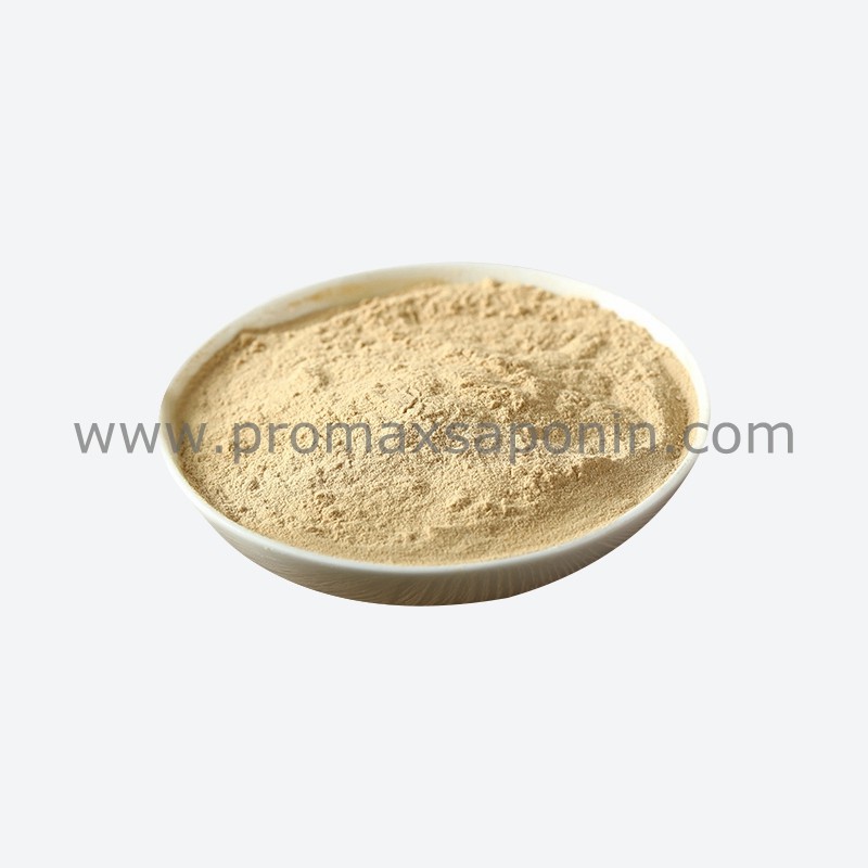 Natural Non-Ionic Improve Surfactant Nutrient Absorption Digestive Capacity Tea Saponin for Shrimp Ponds Cleaning Enhancing Growth of Shrimps