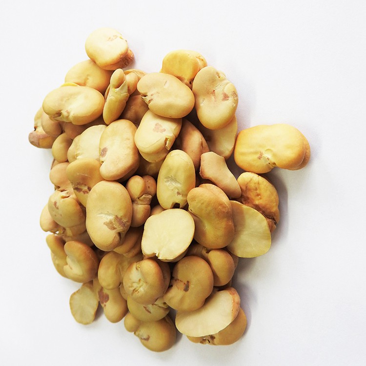 Peeled Whole Broad Beans Peeled by Hand Wholesale