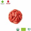 Healthy Dried Goji Berry Options for Everyday Wellness Needs