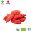 Healthy Dried Goji Berry Options for Everyday Wellness Needs