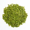 China AA Green Pumpkin Seed Kernels in Wholesale Sales