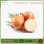 Peeled Onion Exporting Nethelands and UK