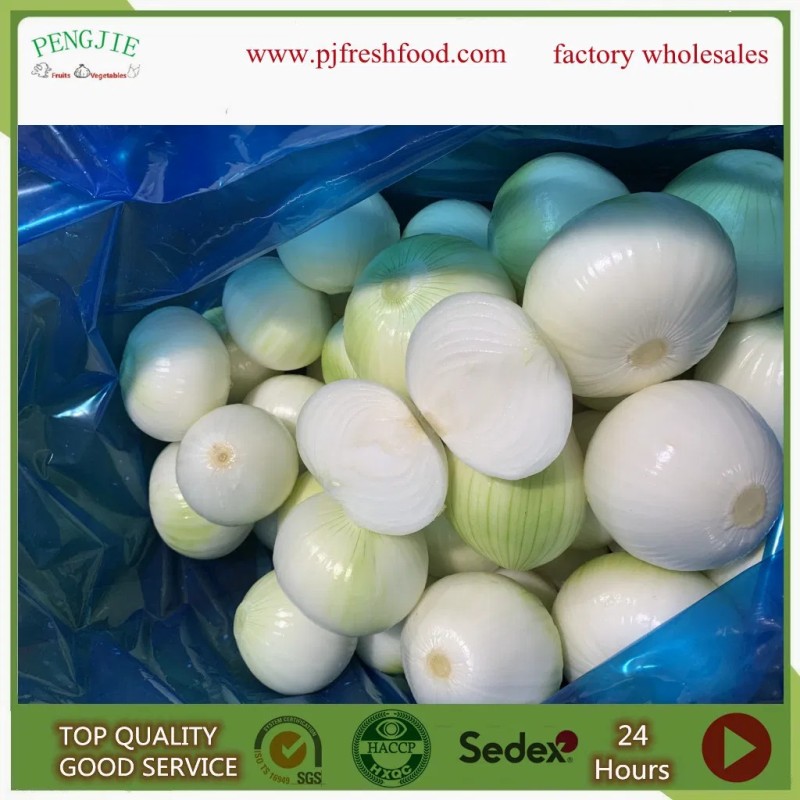 Peeled Onion Exporting Nethelands and UK