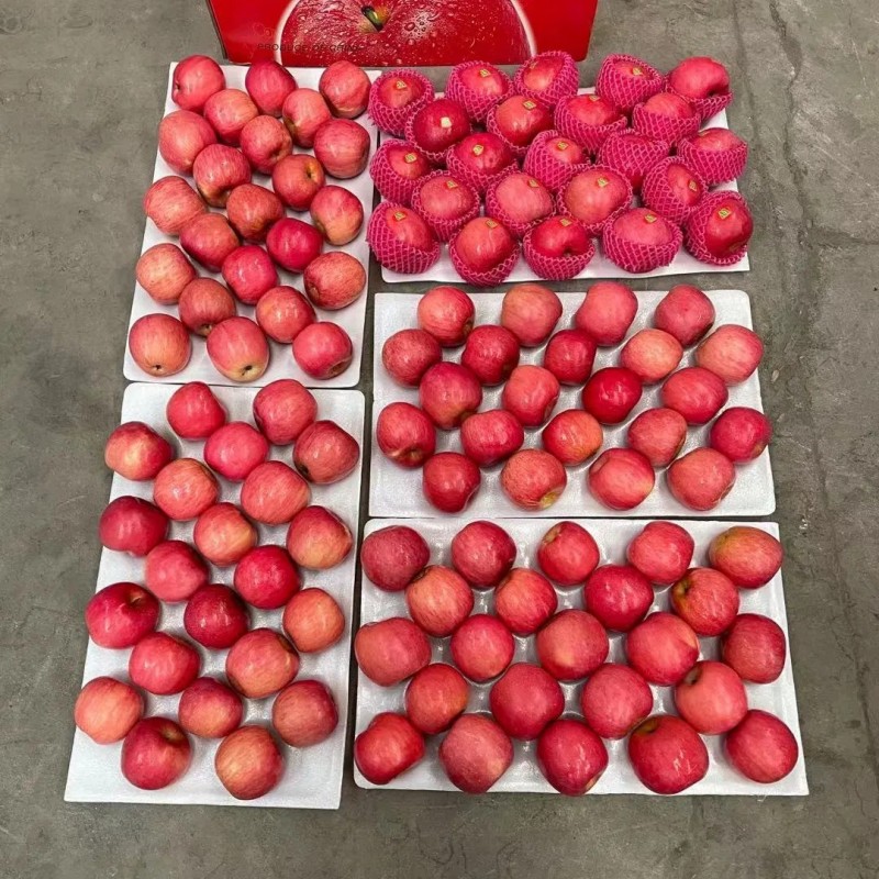 Paper Bagged FUJI of Shandong Yantai