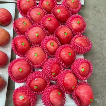 Paper Bagged FUJI of Shandong Yantai