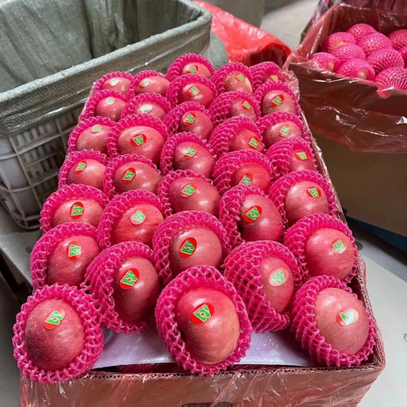 Paper Bagged FUJI of Shandong Yantai