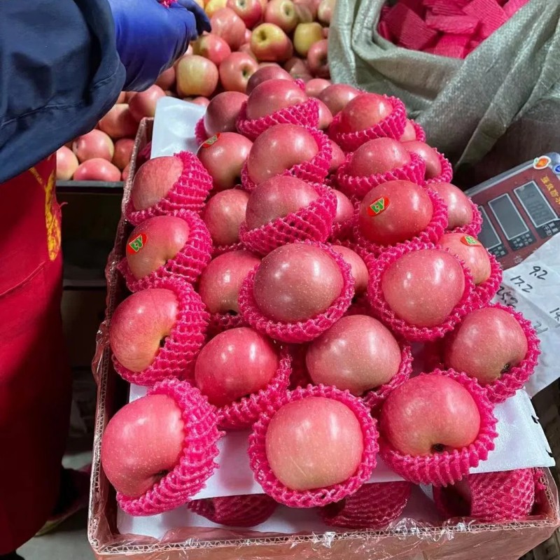 Paper Bagged FUJI of Shandong Yantai