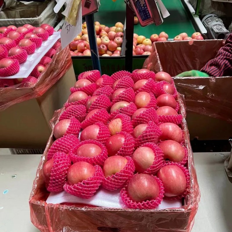 Paper Bagged FUJI of Shandong Yantai