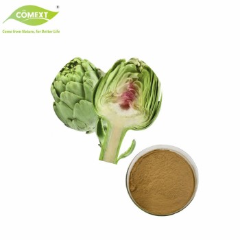 Natural Plant Extract Artichoke Leaf Extract Powder Artichoke Extract Cynara Scolymus Powder