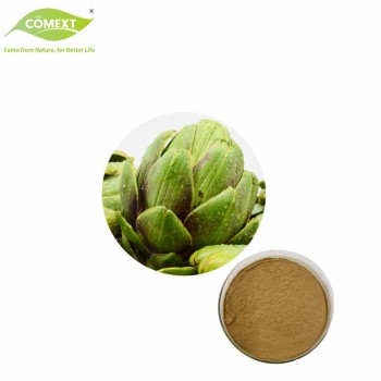 Natural Plant Extract Artichoke Leaf Extract Powder Artichoke Extract Cynara Scolymus Powder