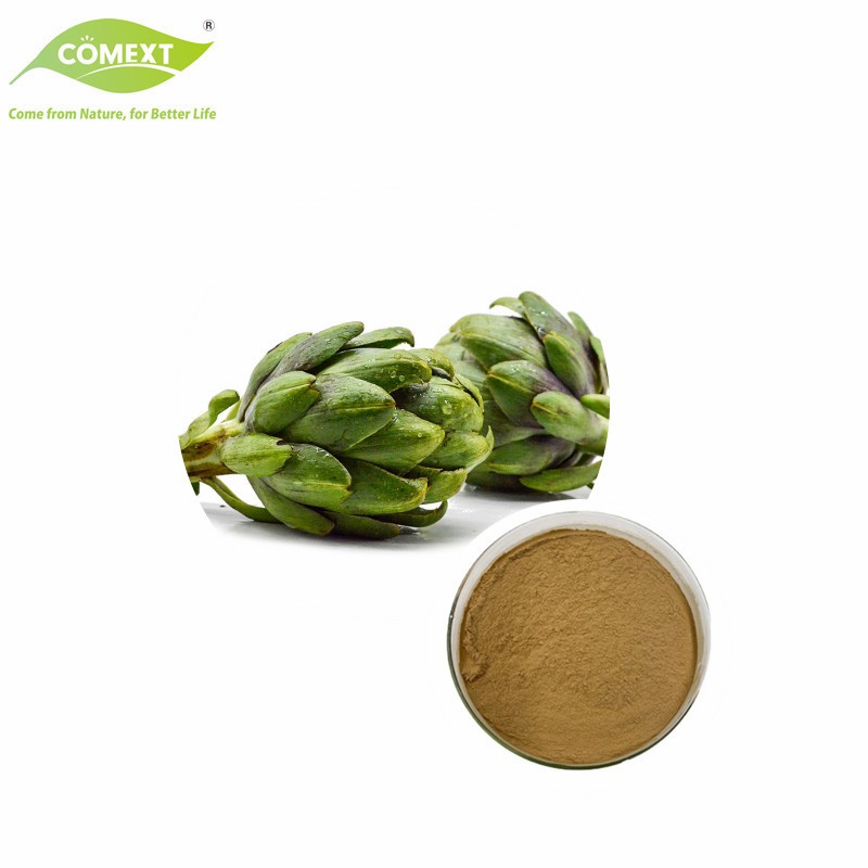 Natural Plant Extract Artichoke Leaf Extract Powder Artichoke Extract Cynara Scolymus Powder