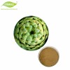 Natural Plant Extract Artichoke Leaf Extract Powder Artichoke Extract Cynara Scolymus Powder