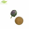 Natural Plant Extract Artichoke Leaf Extract Powder Artichoke Extract Cynara Scolymus Powder