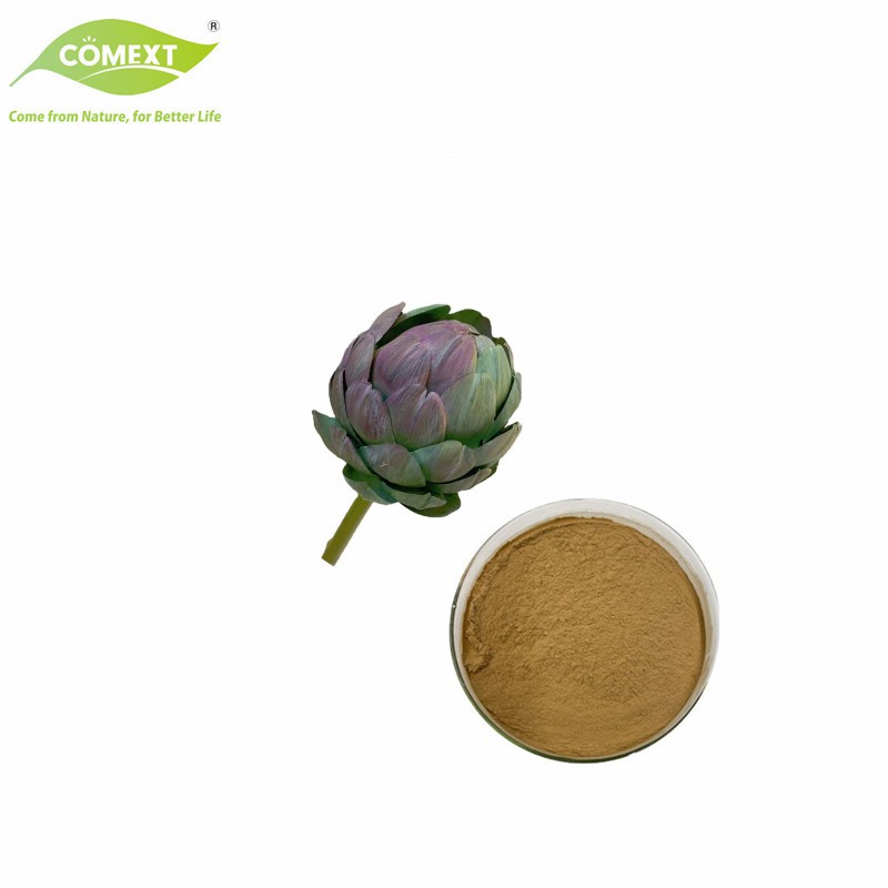 Natural Plant Extract Artichoke Leaf Extract Powder Artichoke Extract Cynara Scolymus Powder