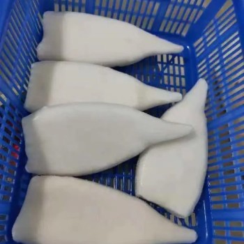 Frozen Illex Squid Tube, /Todarodes Squid Tube/Gigas Squid Tube/ Giant Squid Tube/Peru Squid Tube/Calamari/ Calamar/Setong/ Pota/Seafood