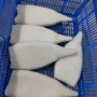 Frozen Illex Squid Tube, /Todarodes Squid Tube/Gigas Squid Tube/ Giant Squid Tube/Peru Squid Tube/Calamari/ Calamar/Setong/ Pota/Seafood