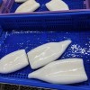 Frozen Illex Squid Tube, /Todarodes Squid Tube/Gigas Squid Tube/ Giant Squid Tube/Peru Squid Tube/Calamari/ Calamar/Setong/ Pota/Seafood