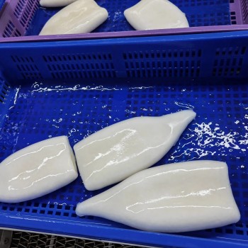 Frozen Illex Squid Tube, /Todarodes Squid Tube/Gigas Squid Tube/ Giant Squid Tube/Peru Squid Tube/Calamari/ Calamar/Setong/ Pota/Seafood