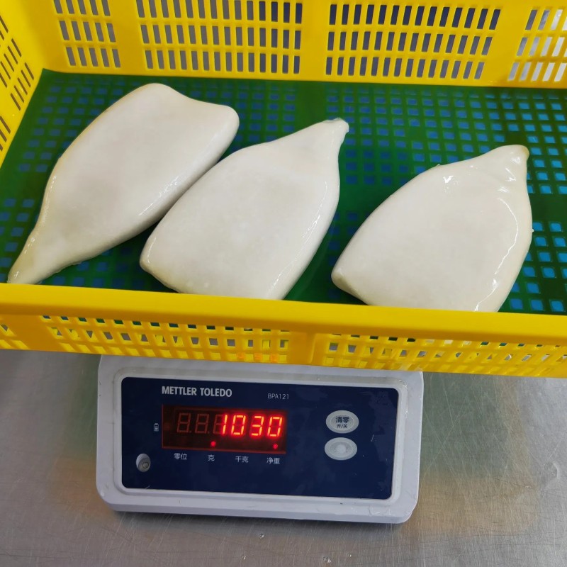 Frozen Illex Squid Tube, /Todarodes Squid Tube/Gigas Squid Tube/ Giant Squid Tube/Peru Squid Tube/Calamari/ Calamar/Setong/ Pota/Seafood