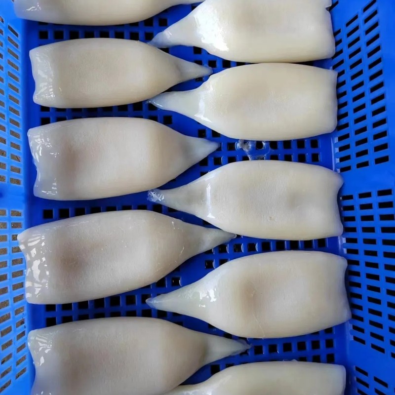 Frozen Illex Squid Tube, /Todarodes Squid Tube/Gigas Squid Tube/ Giant Squid Tube/Peru Squid Tube/Calamari/ Calamar/Setong/ Pota/Seafood