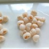 Premium Quality Canned Lychee/Lichi in Syrup From Zhangzhou China