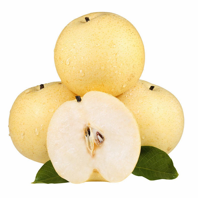 Export Quality Fresh Sweet Pear Sand Factory Wholesale Price