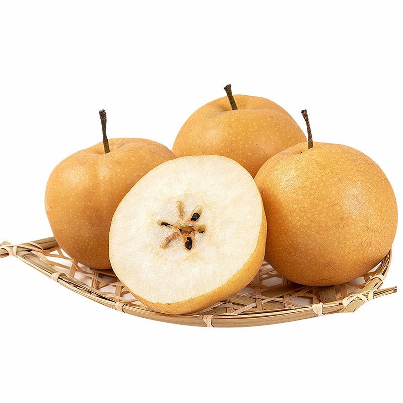 Export Quality Fresh Sweet Pear Sand Factory Wholesale Price