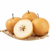 Export Quality Fresh Sweet Pear Sand Factory Wholesale Price