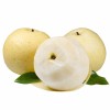 Export Quality Fresh Sweet Pear Sand Factory Wholesale Price